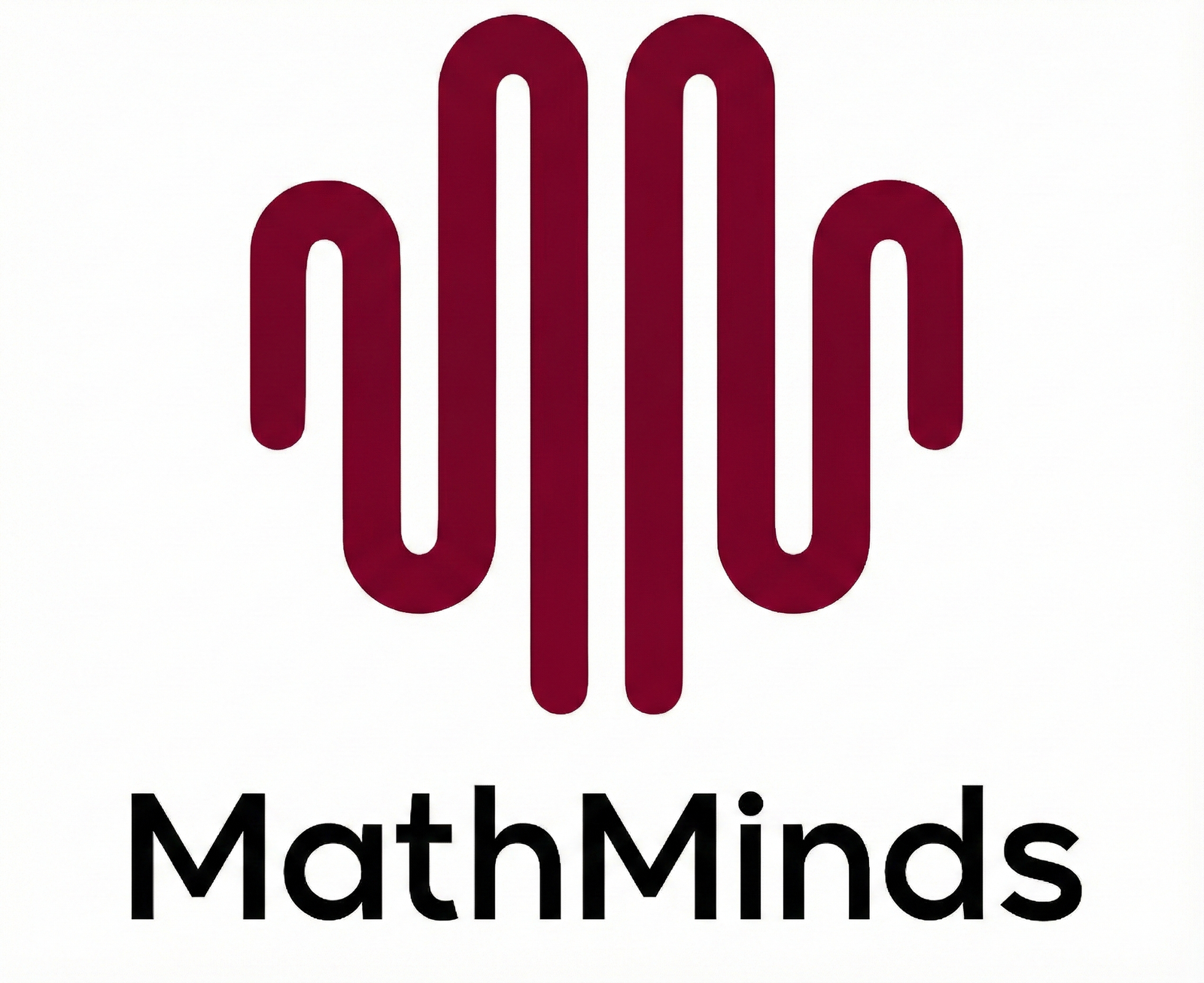 Math Minds Academy